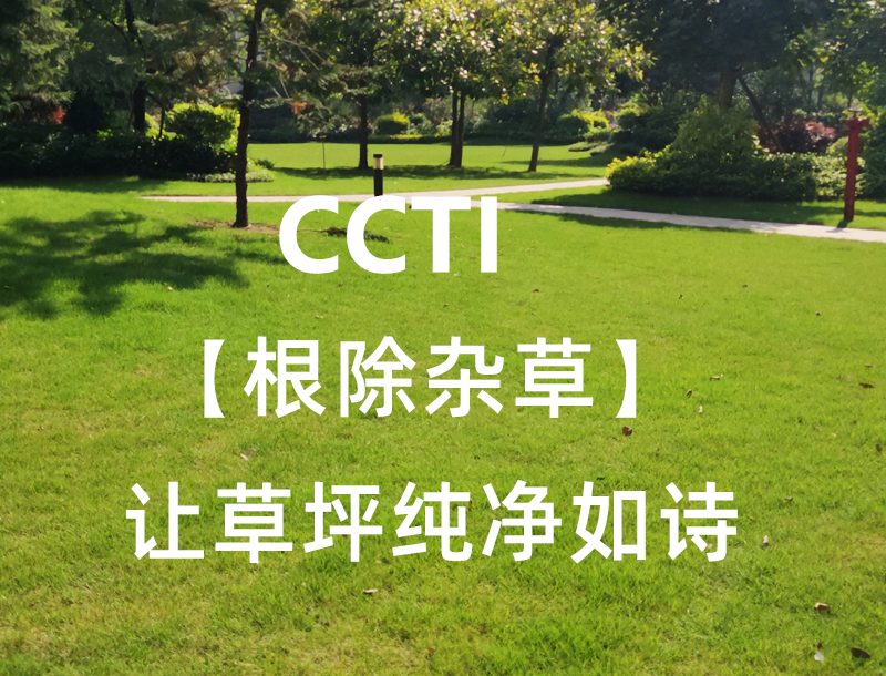 草坪雜草