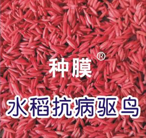 水稻抗病驅鳥技術
