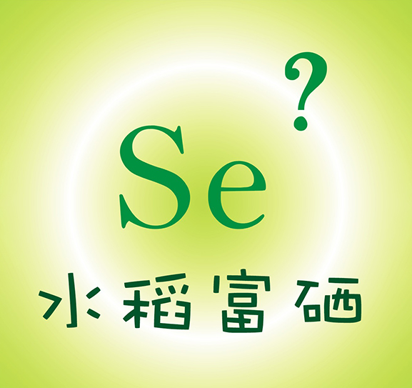水稻富硒技術