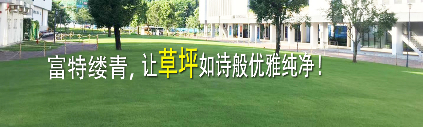 寧靜草坪